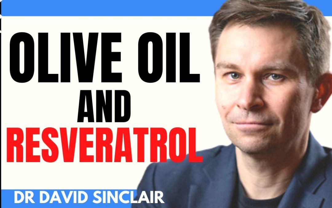 DAVID SINCLAIR “Olive Oil & Resveratrol” | Dr David Sinclair Interview Clips