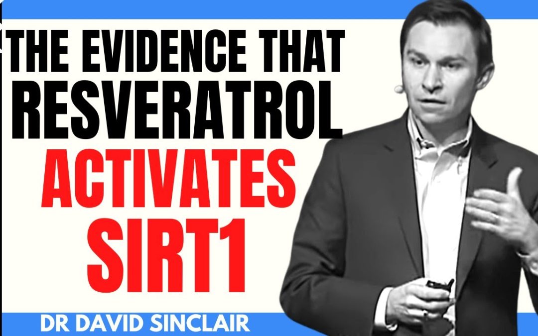 The Evidence That Resveratrol Activates SIRT1 | Dr David Sinclair Interview Clips